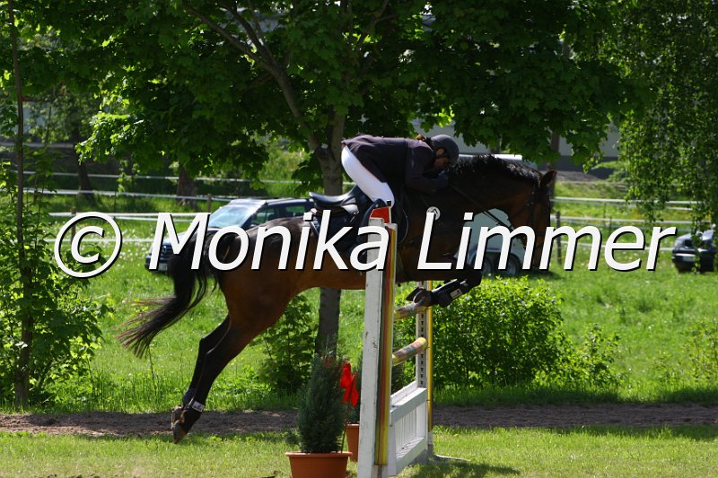 005M6989_M Springen x.JPG